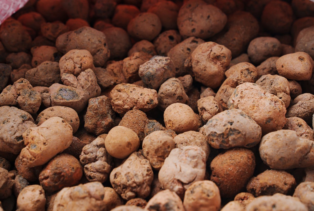 expanded clay argex leca liapor fibo